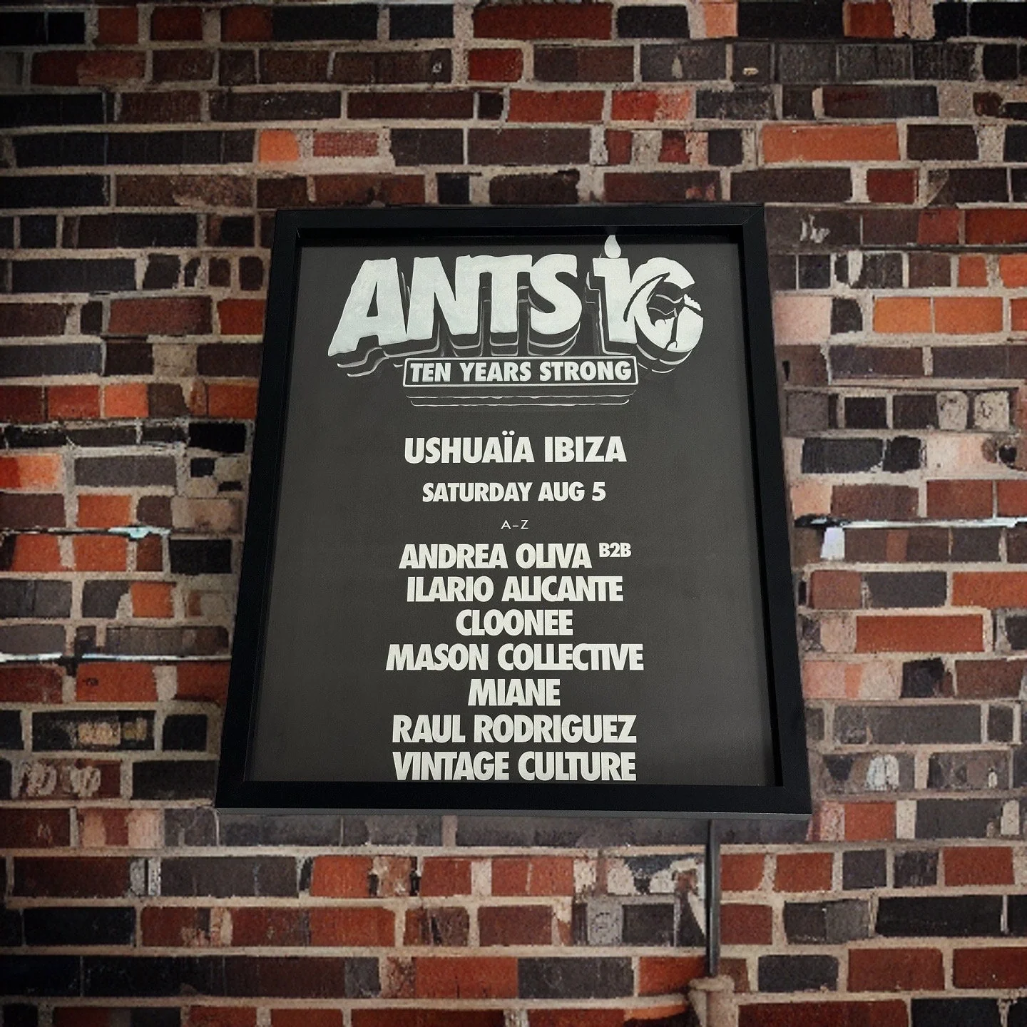 Ants - Genuine Ushuaia 10 Years Strong Anniversary Ibiza Framed Dj Artwork | Hi Ibiza | Luxury Black Frame - Image 7