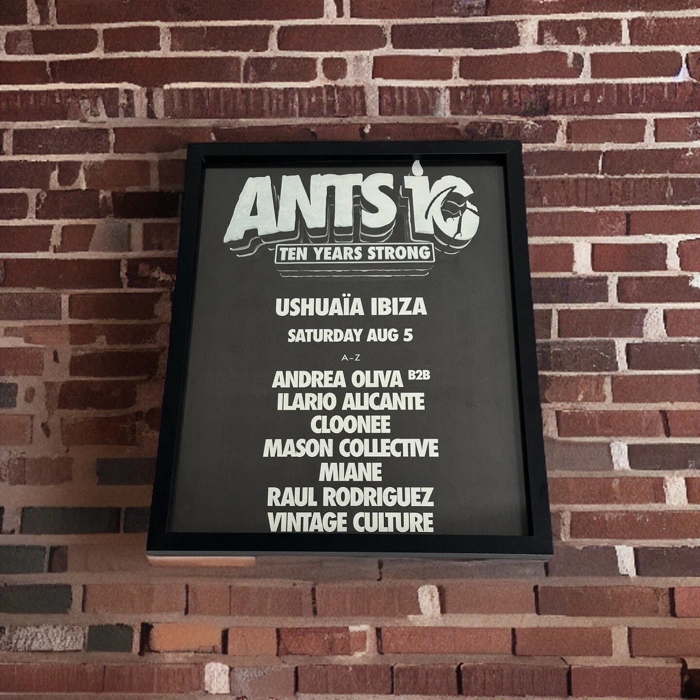 Ants - Genuine Ushuaia 10 Years Strong Anniversary Ibiza Framed Dj Artwork | Hi Ibiza | Luxury Black Frame - Image 8