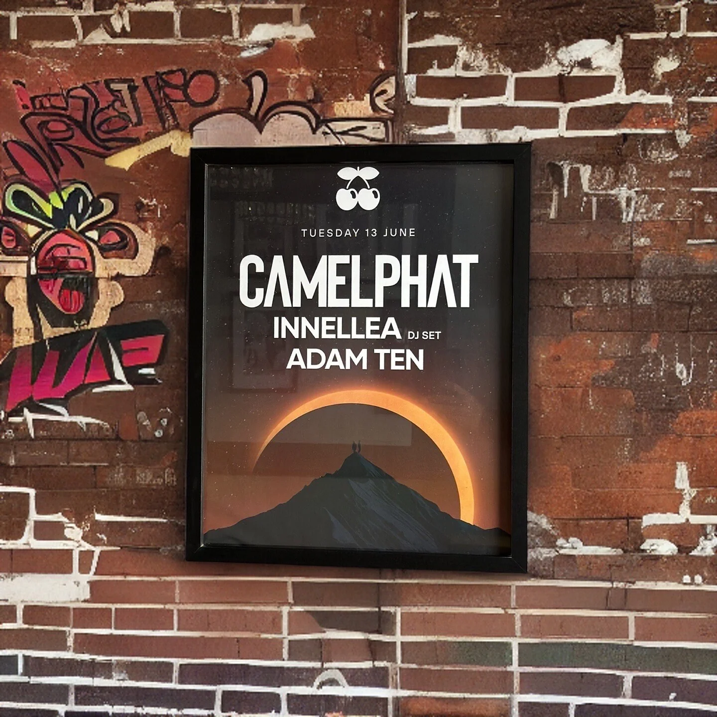 Camelphat ~ Genuine Pacha Ibiza Framed Dj Artwork | A3 Luxury Black Frame - Image 3