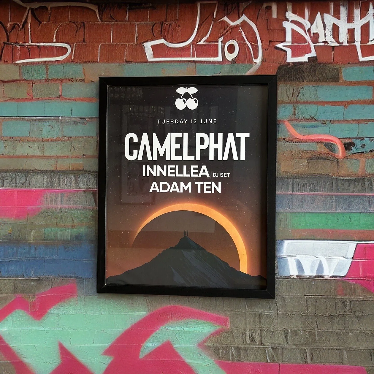 Camelphat ~ Genuine Pacha Ibiza Framed Dj Artwork | A3 Luxury Black Frame - Image 4