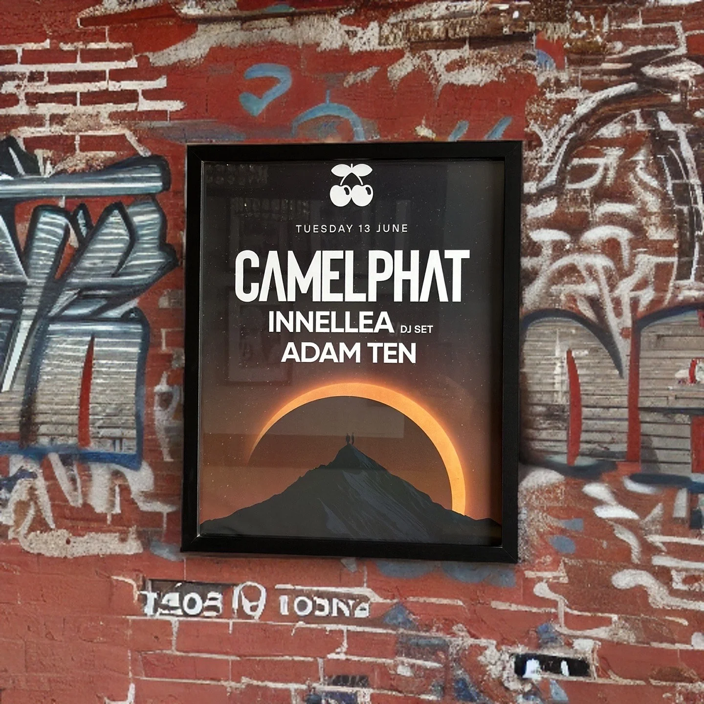 Camelphat ~ Genuine Pacha Ibiza Framed Dj Artwork | A3 Luxury Black Frame - Image 8