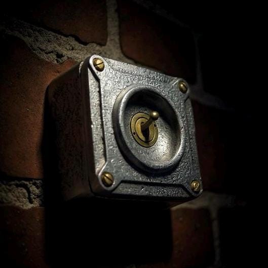 Single Gang Solid Metal Conduit Toggle Light Switch - Industrial Vintage Crabtree - Image 7